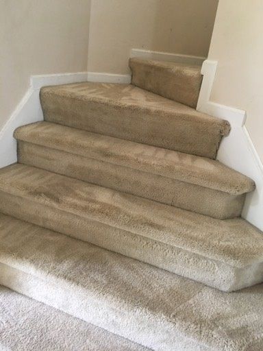 A set of stairs with carpeted steps in a house.
