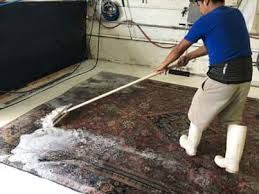 A man is cleaning a rug with a mop.