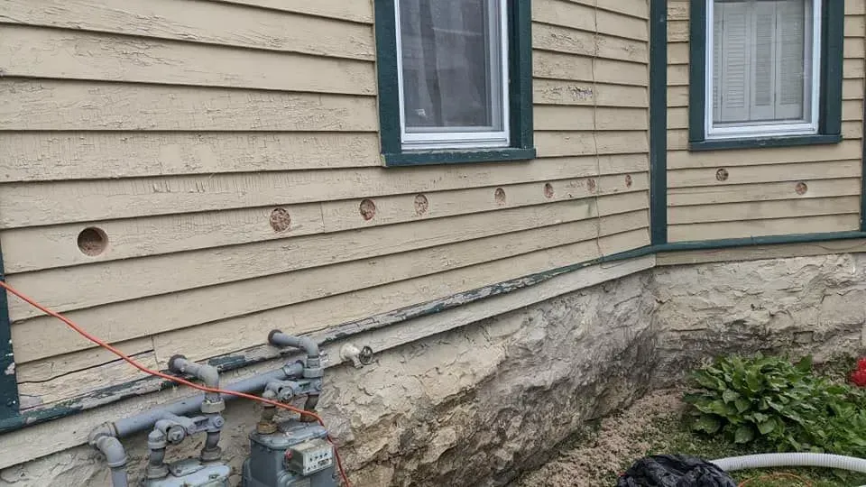 A dog is standing in front of a house with a hose attached to it.