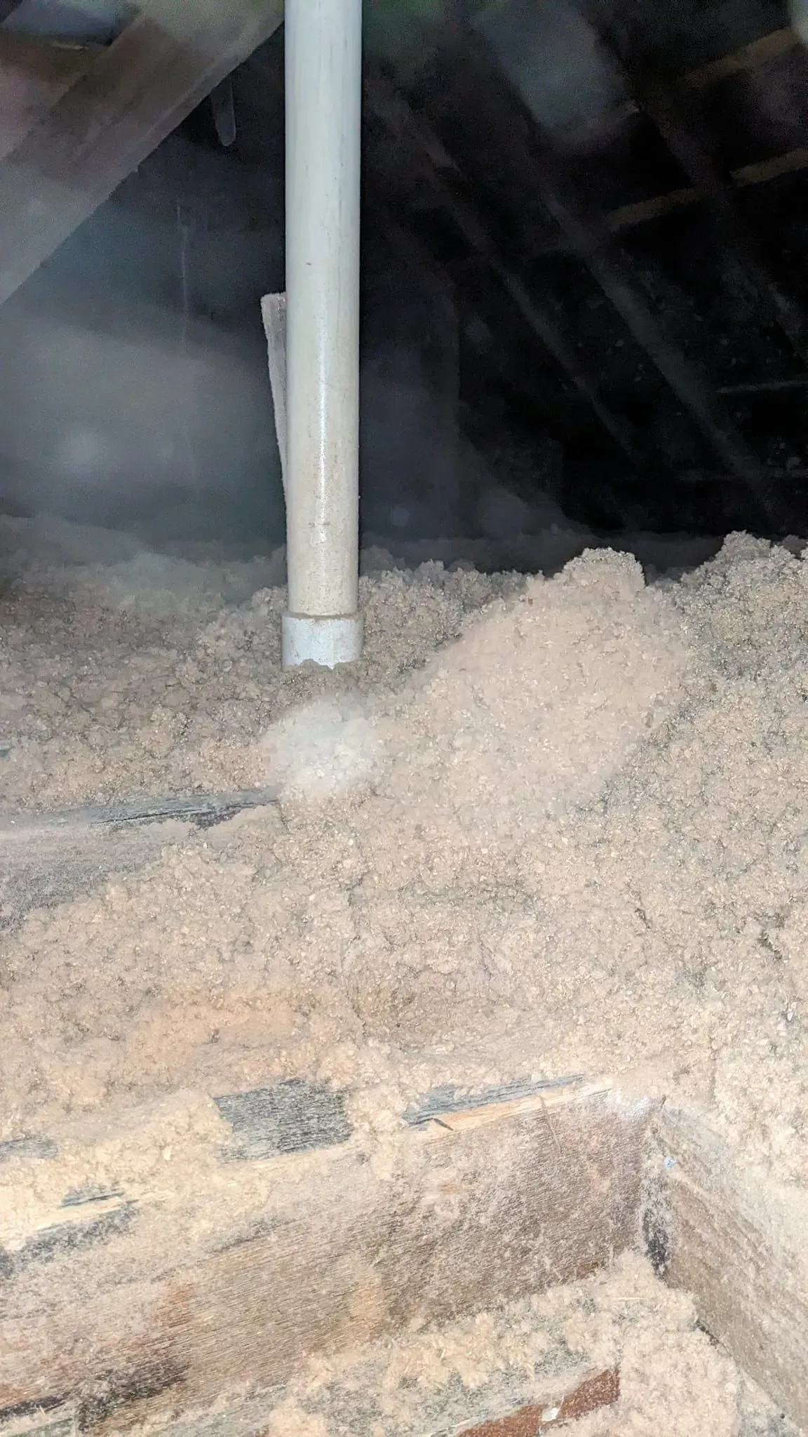 A white pipe is sitting on top of a pile of wood shavings.