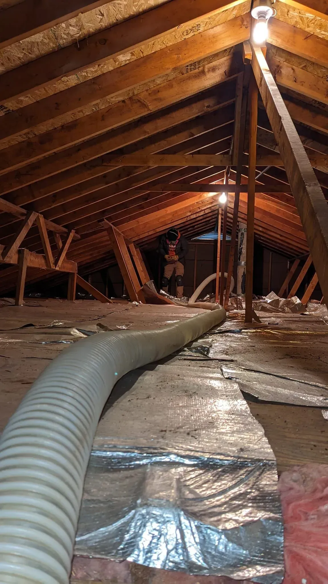 There is a hose in the attic of a house.