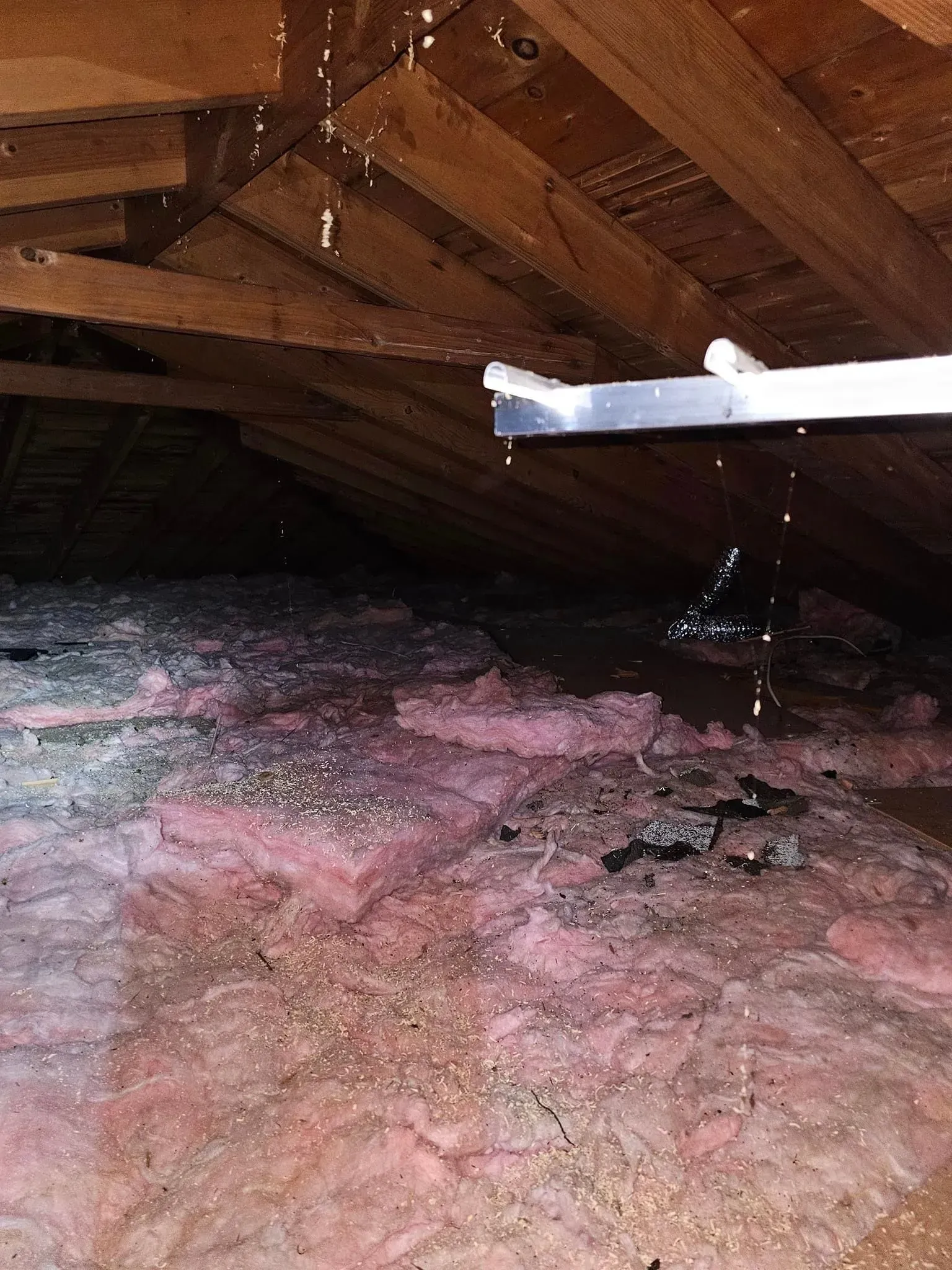 A room with a lot of pink insulation and water coming out of the ceiling.
