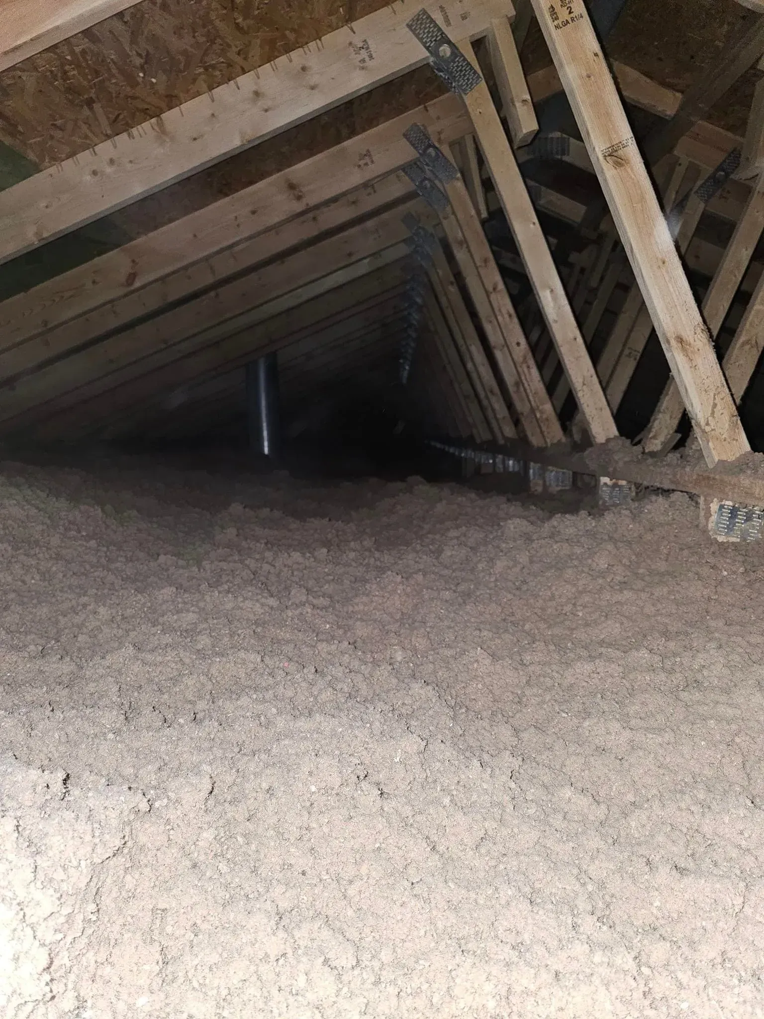 Looking up into the attic of a house with wooden beams and insulation.
