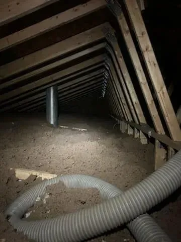 A hose is hanging from the ceiling of an attic.