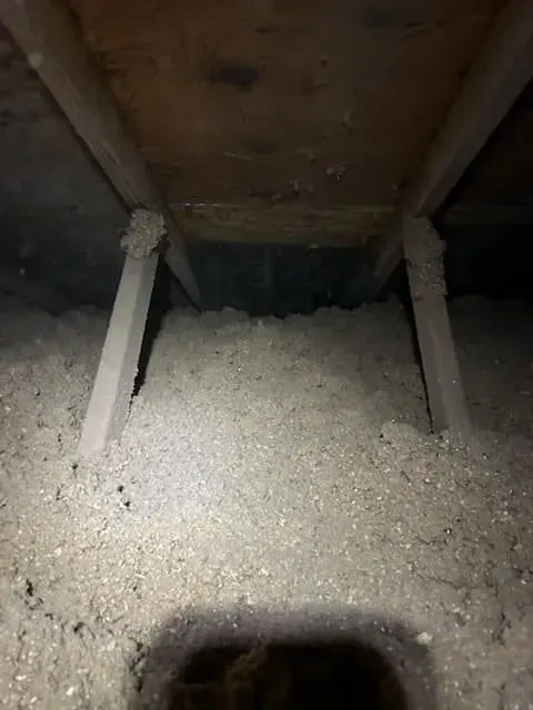 A person is standing in an attic filled with insulation.