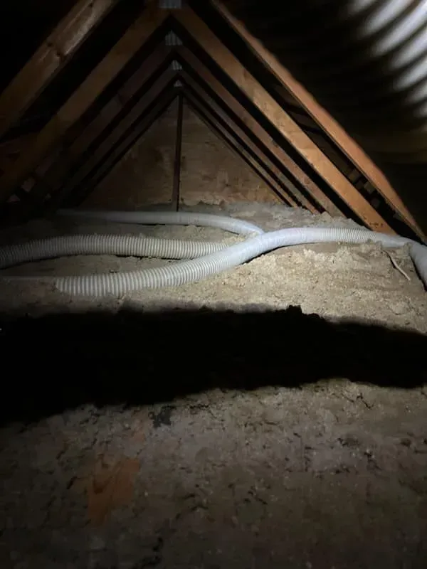 A dark attic with a lot of wires hanging from the ceiling.