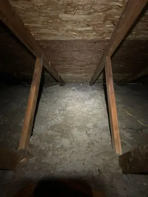A person is standing in an attic with a flashlight.