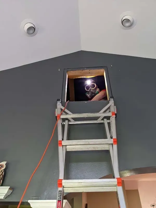 A person is standing on a ladder looking through a hole in the ceiling.