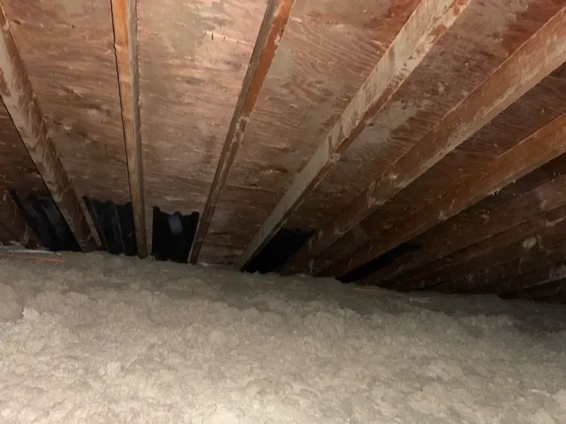 There is a lot of insulation in the attic of a house.