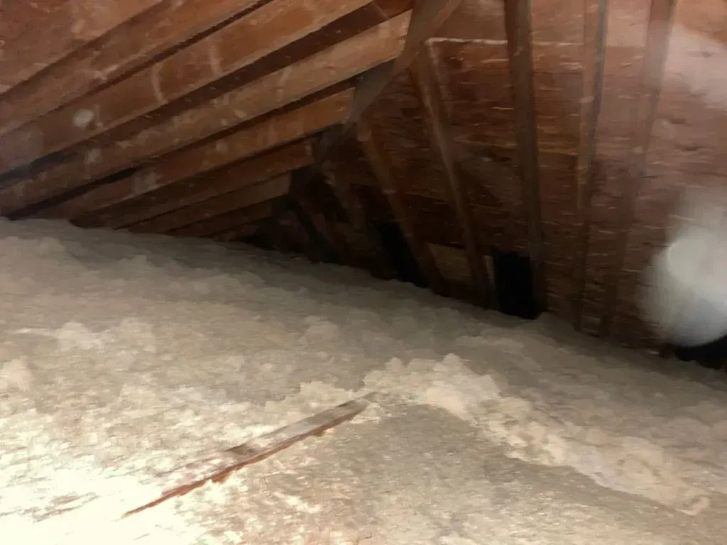 A person is standing in the attic of a house.