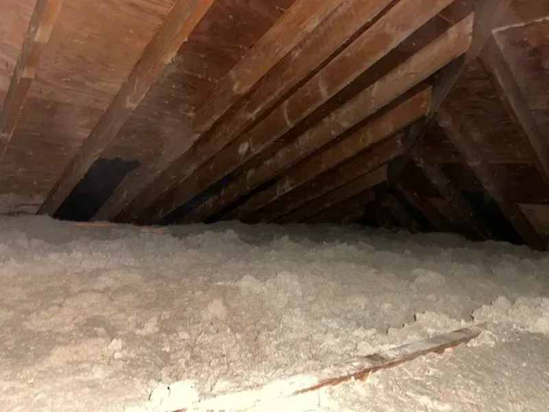 Looking up at the ceiling of an attic filled with insulation.