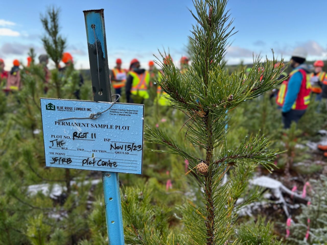 Forest research plot centre marker with foresters in the background
