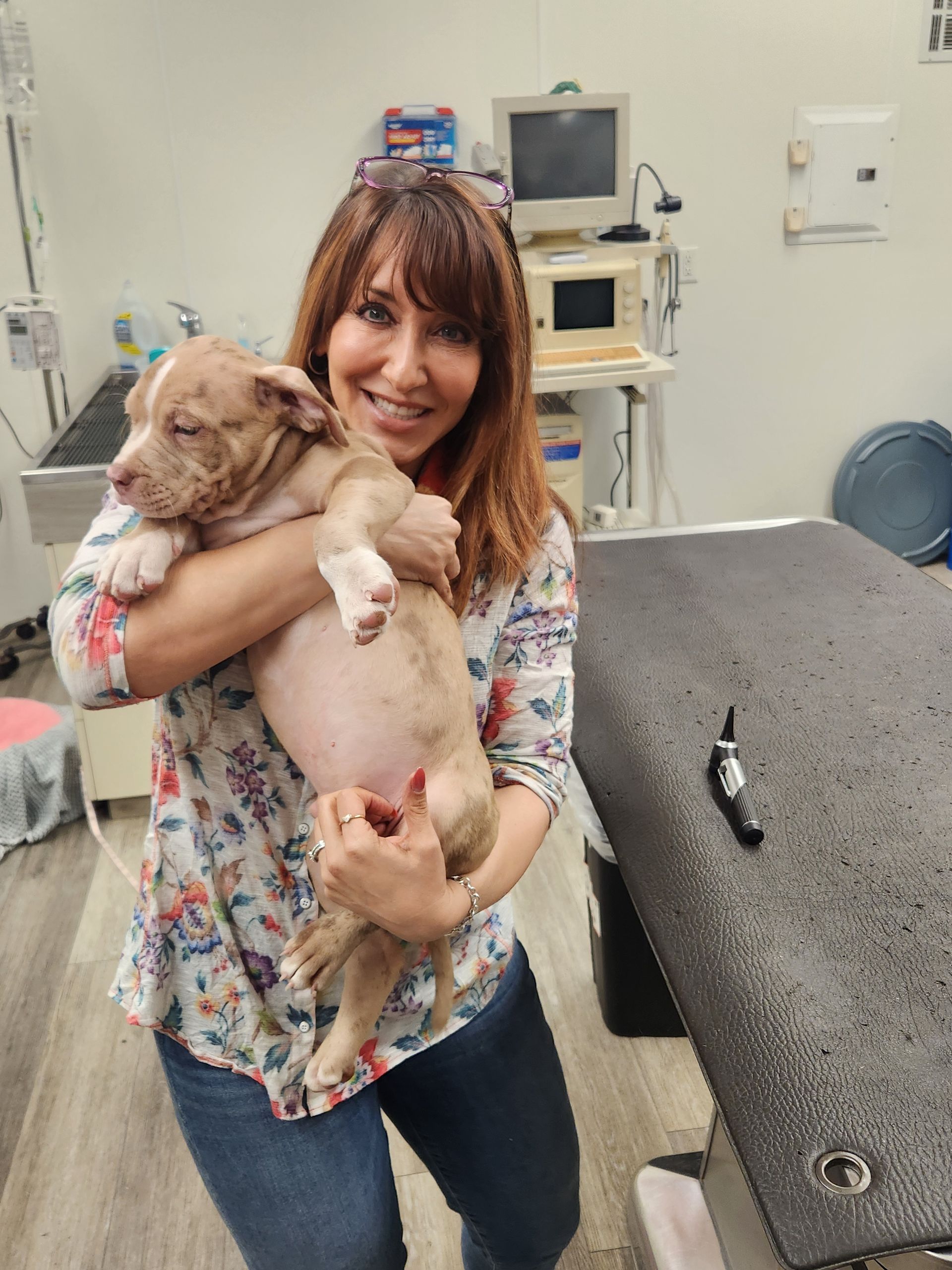 Woman holding a puppy in a vet's office. She is smiling, dog has brown and white spots.