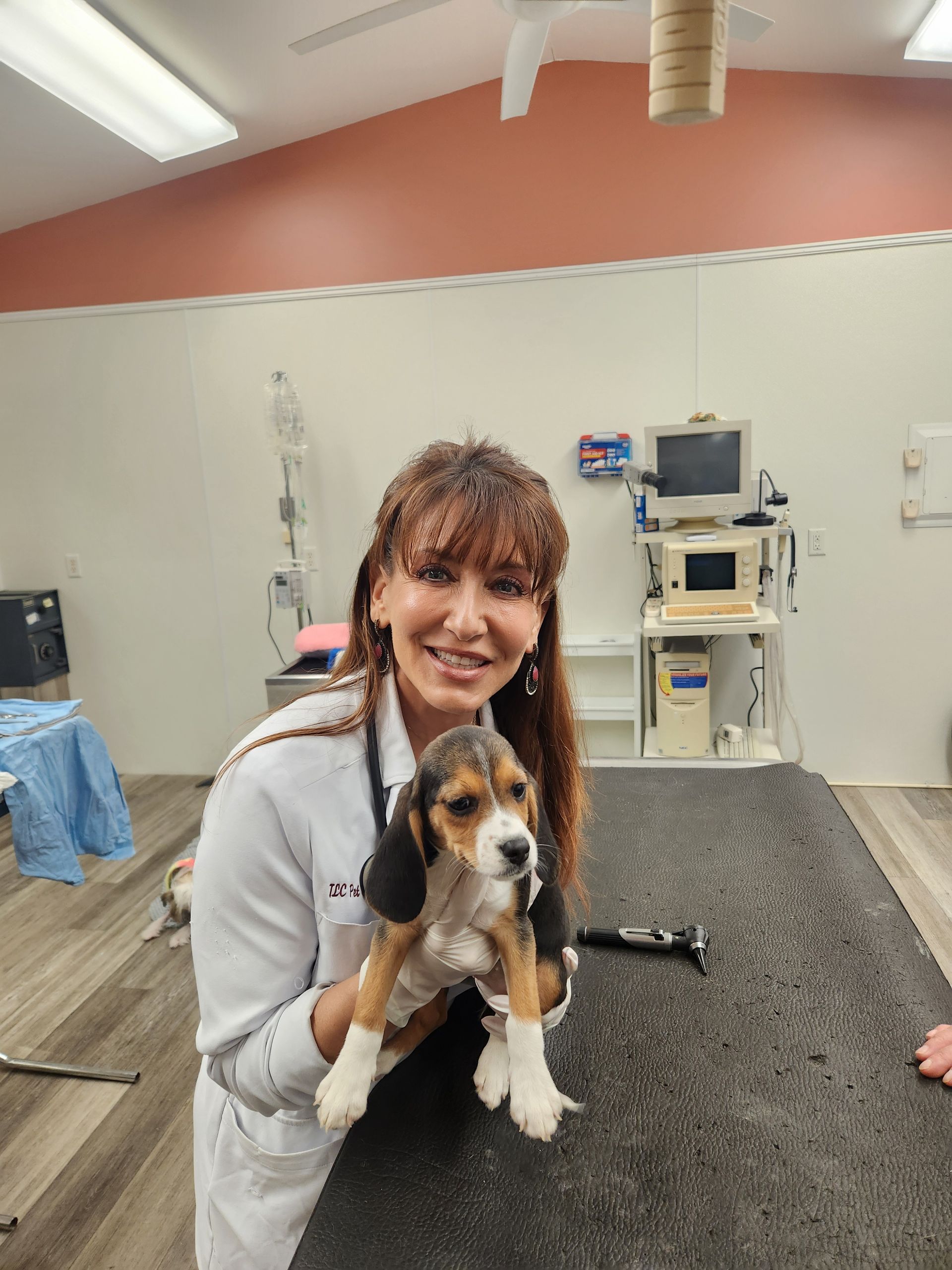 Veterinarian holding a beagle puppy; inside a clinic. Both smiling. White coat, beige/brown accents.