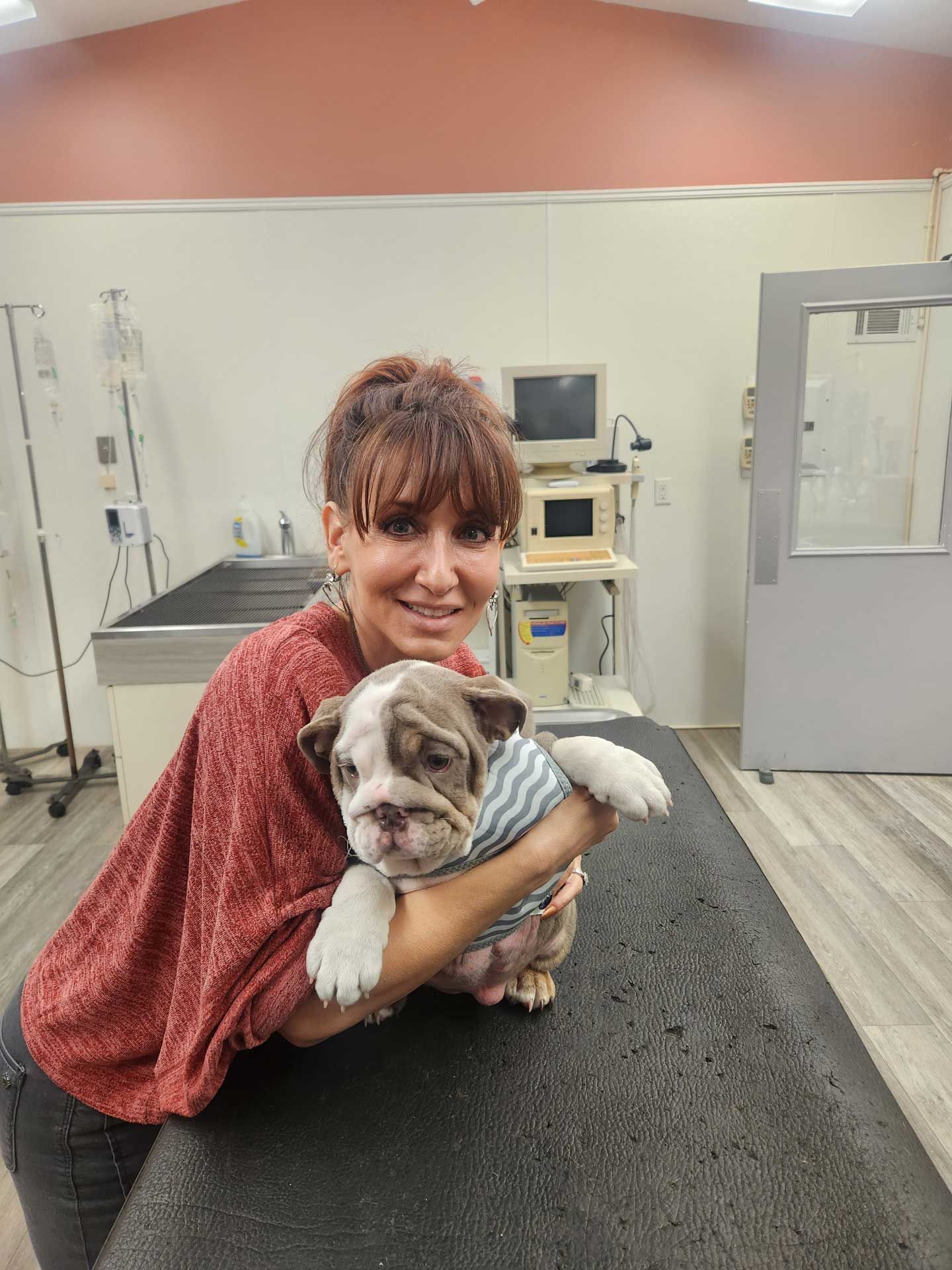 Woman holding a bulldog puppy in a veterinary examination room.