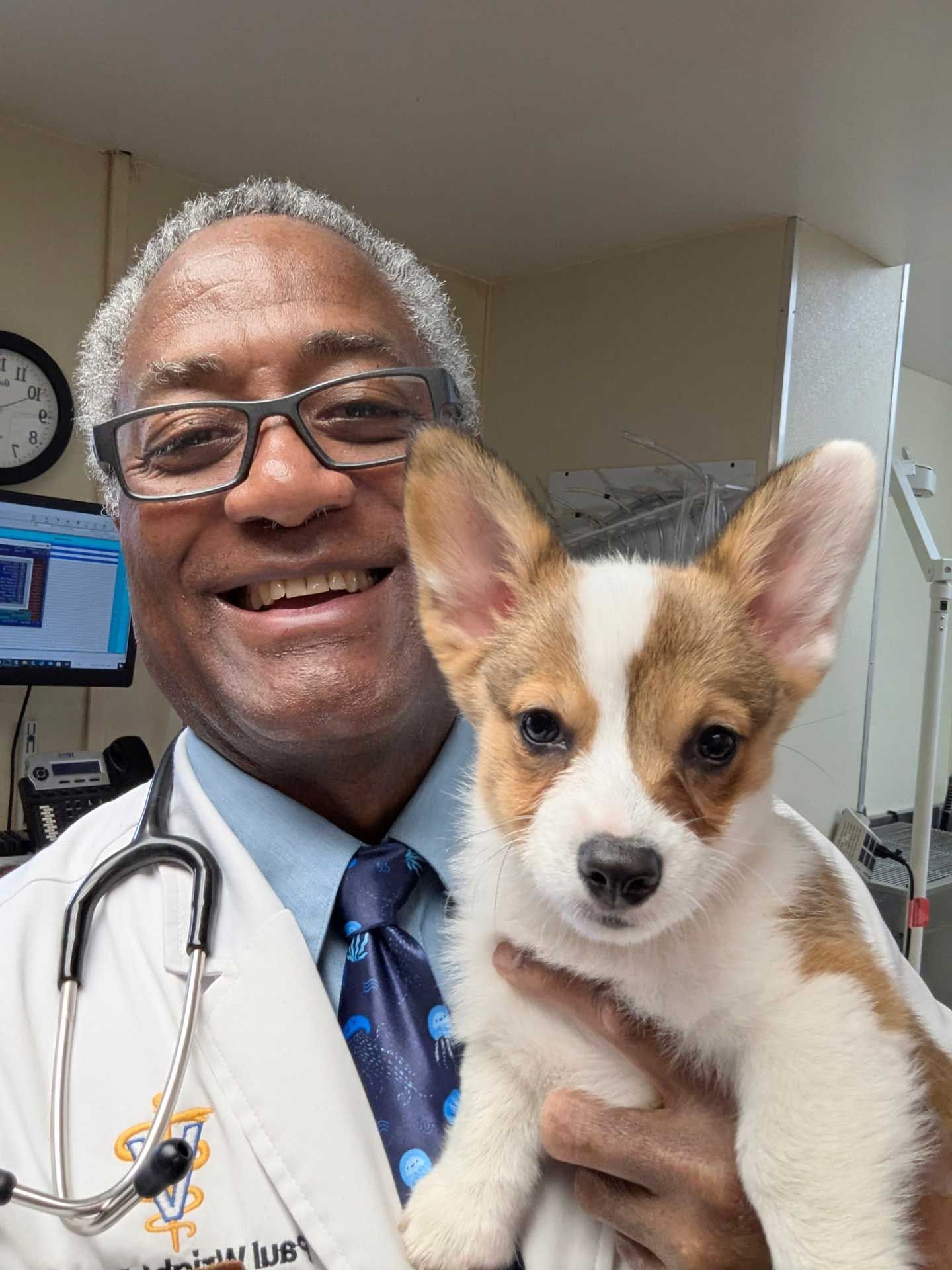 Veterinarian in a lab coat and tie holds a tri-color corgi puppy; both smile at the camera.