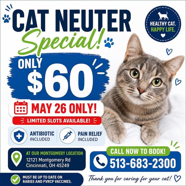 Cat neuter special flyer, only $60, May 26 only, with cat photo and clinic phone number.