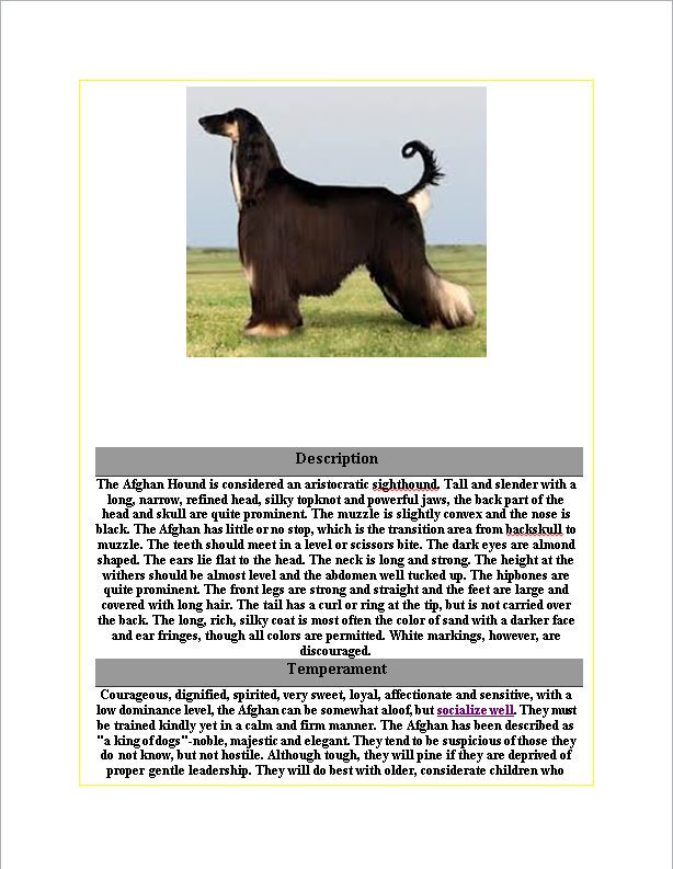 Hamilton Ave Pet Hospital