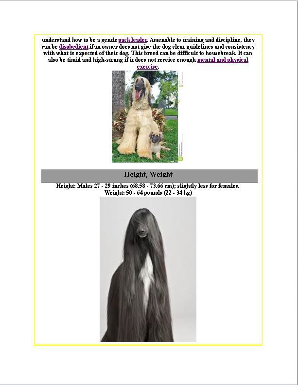 Hamilton Ave Pet Hospital