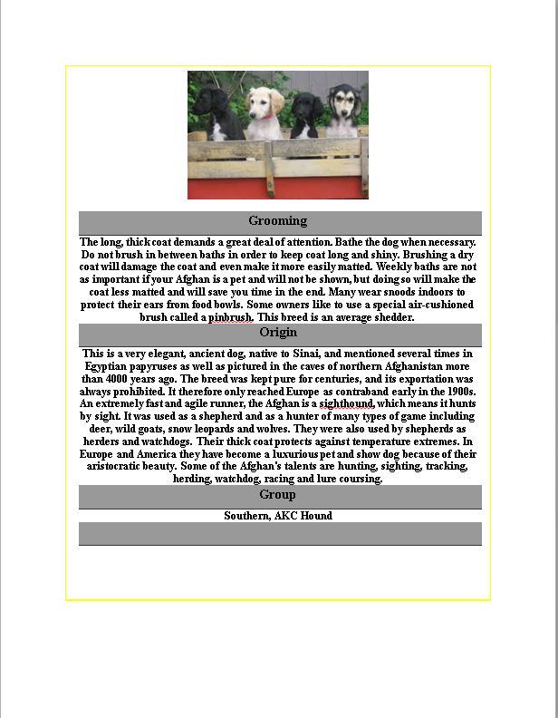 Hamilton Ave Pet Hospital