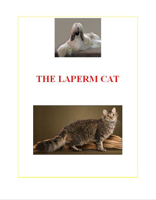 Hamilton Ave Pet Hospital