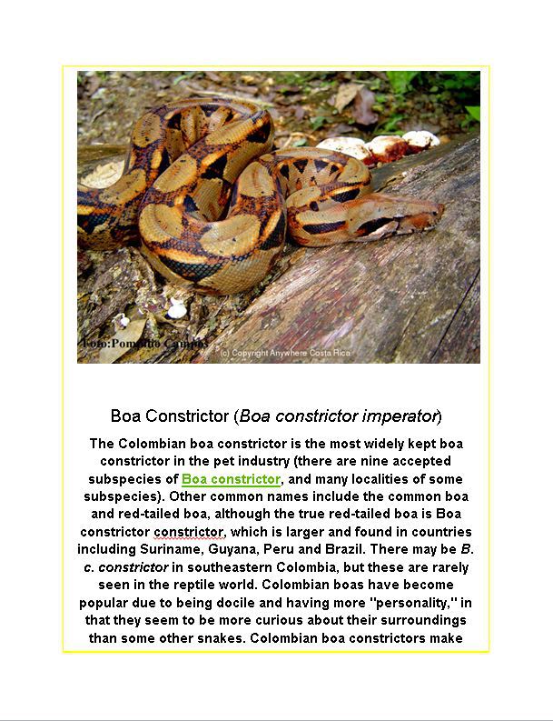 Hamilton Ave Pet Hospital