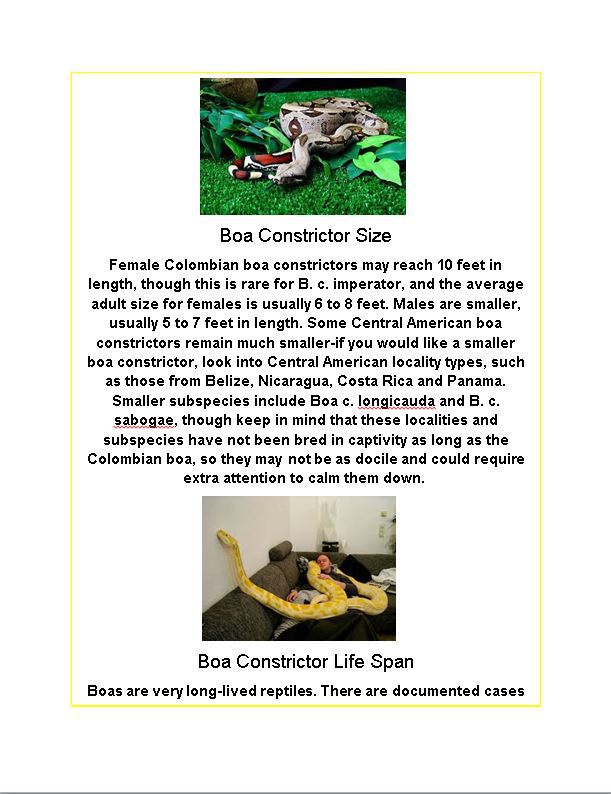 Hamilton Ave Pet Hospital