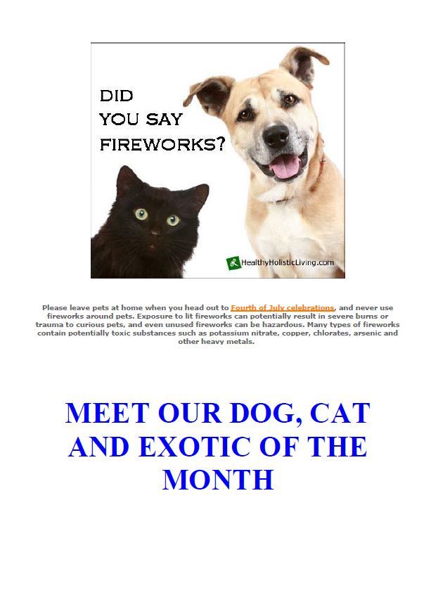 Hamilton Ave Pet Hospital