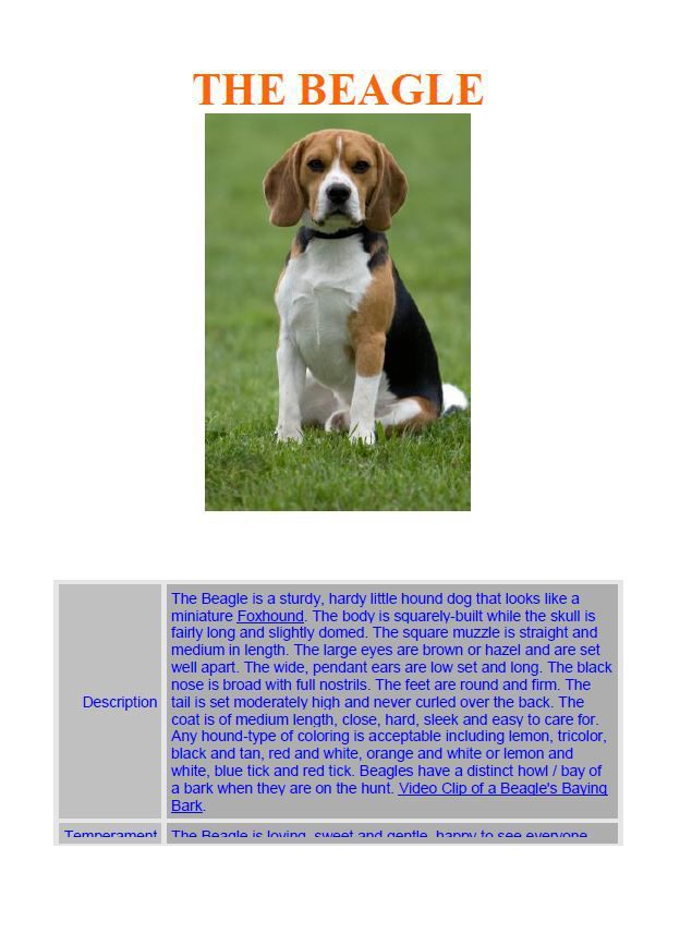 Hamilton Ave Pet Hospital