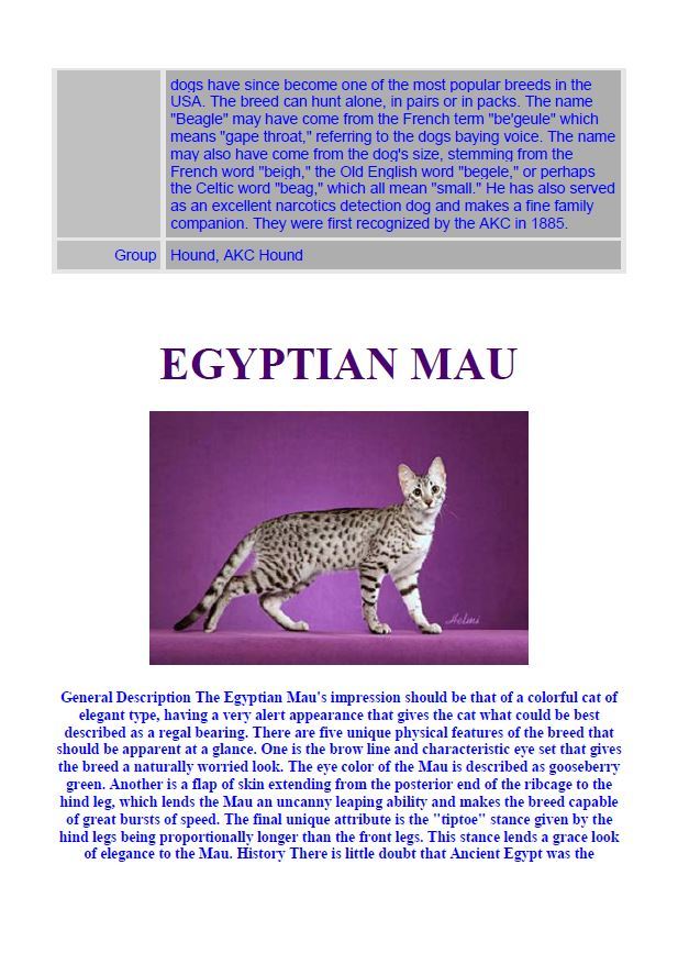 Hamilton Ave Pet Hospital