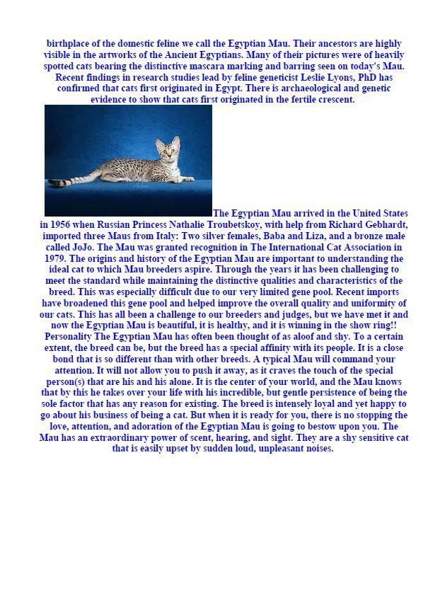 Hamilton Ave Pet Hospital