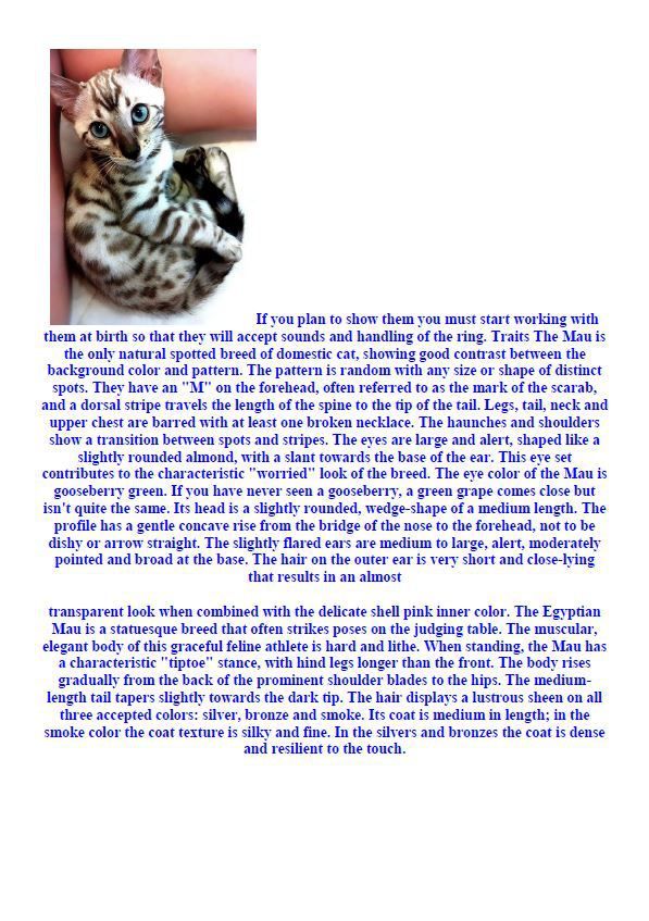 Hamilton Ave Pet Hospital