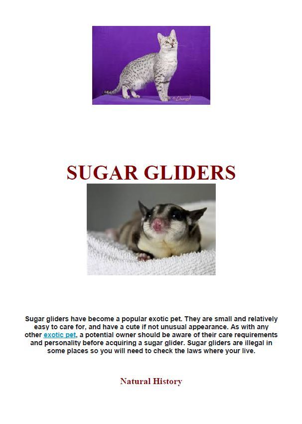 Hamilton Ave Pet Hospital