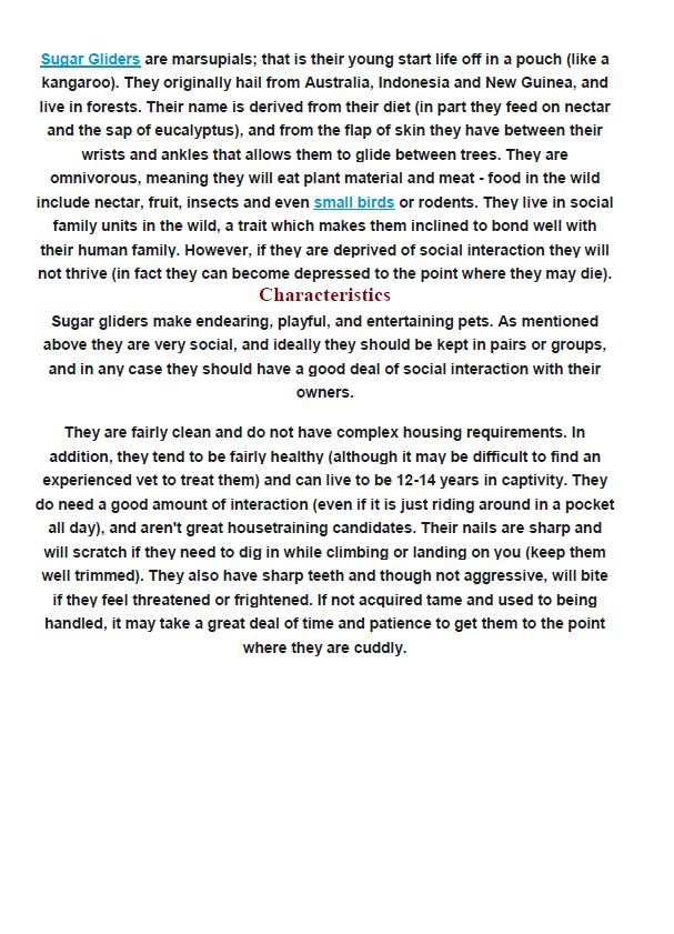 Hamilton Ave Pet Hospital