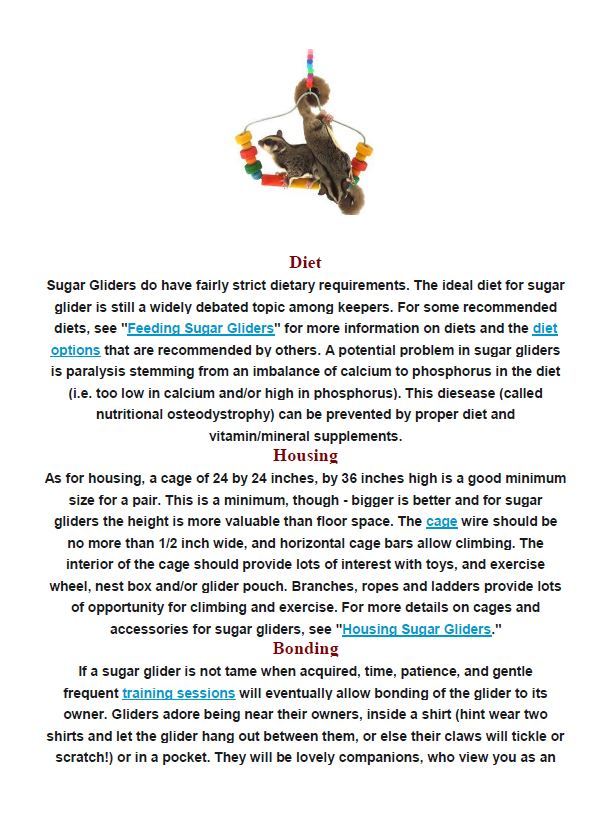 Hamilton Ave Pet Hospital