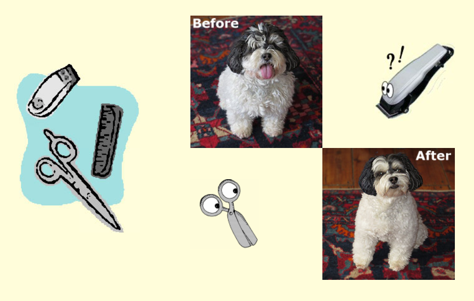 Dog grooming: Before and after images of a white and black dog. Shows scissors, clippers, and comb.