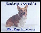 Corgi dog on white background, 