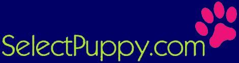 SelectPuppy.com logo with green text on a blue background, pink paw print in the corner.