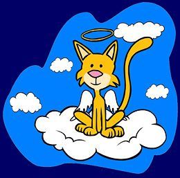 Yellow cat with angel wings and a halo sits on a cloud in a blue sky.