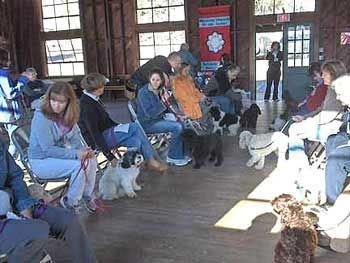 People with dogs attend a training session in a wood-paneled room.