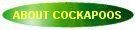 Green oval with 