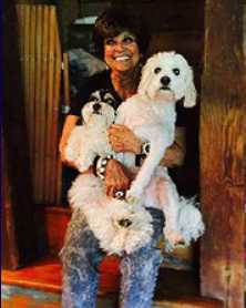 Woman holding two small dogs: one black and white, one white. Outdoors, smiling.
