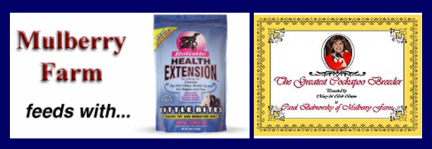 Mulberry Farm uses Health Extension dog food.  An award for the 