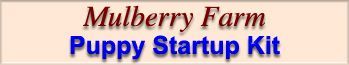 Mulberry Farm Puppy Startup Kit, brown text on a light orange background.
