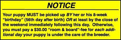 Yellow notice: Puppy pick-up instructions with deadline and fee.