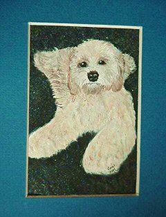 A light-colored fluffy dog lying down on a dark background.