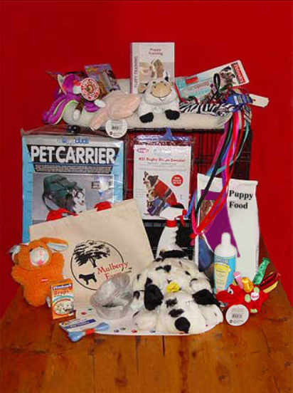 A gift basket with pet supplies, including a carrier, toys, and food, on a wooden table against a red backdrop.