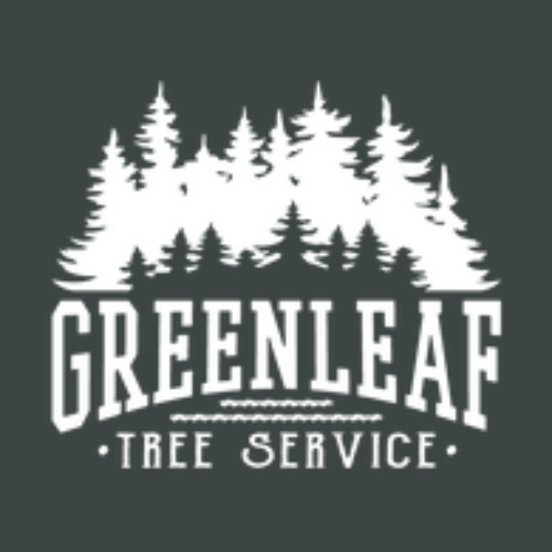 Green Leaf Tree Service Charlotte NC