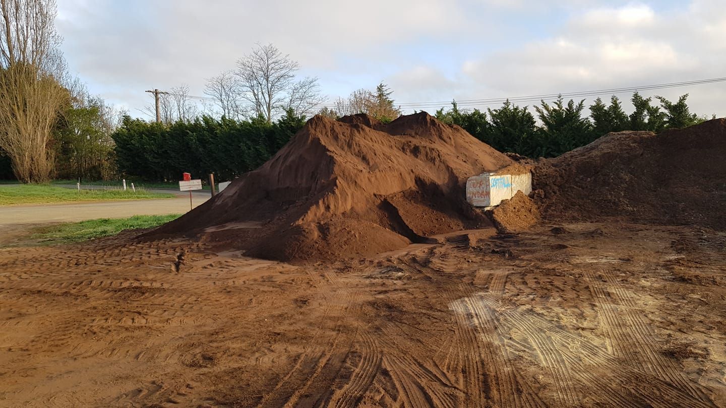 A Small Green Plant Is Growing Out Of The Soil — Pigot's Mid Western Sand and Soil In Orange, NSW