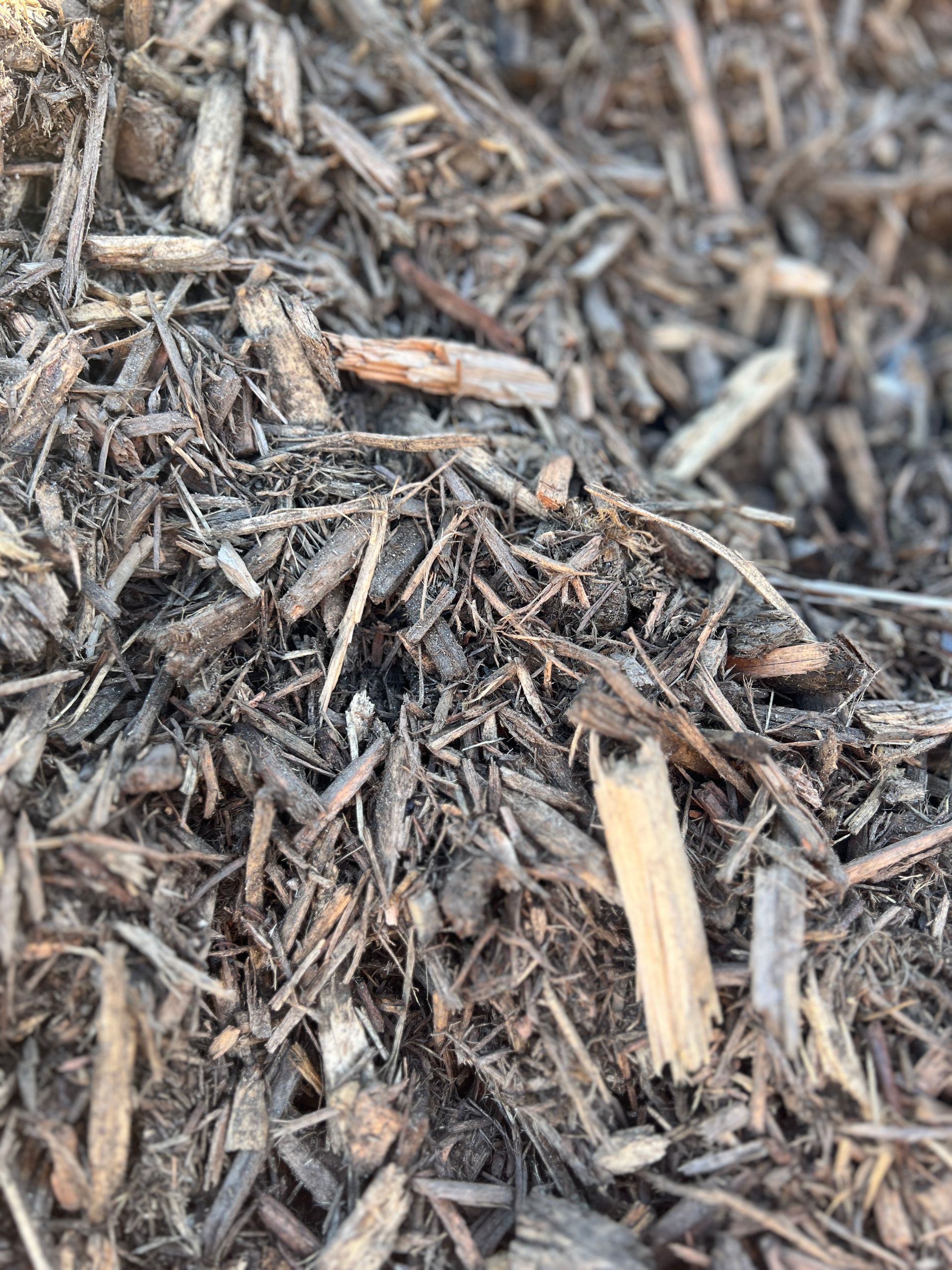 Eco Mulch — Pigot's Mid Western Sand and Soil In Orange, NSW